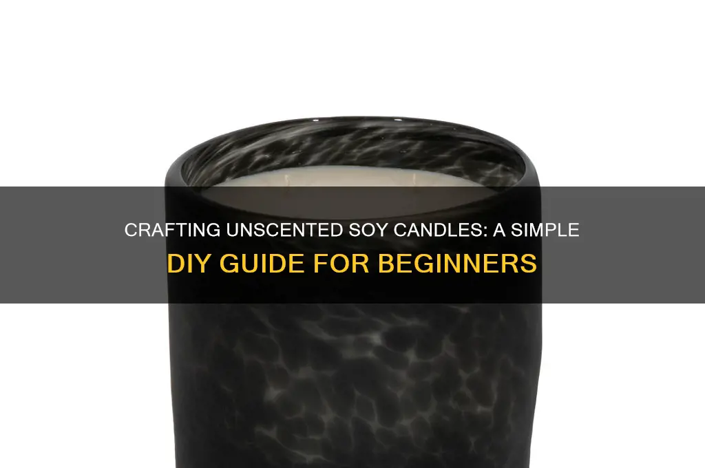 how to make unscented soy candle