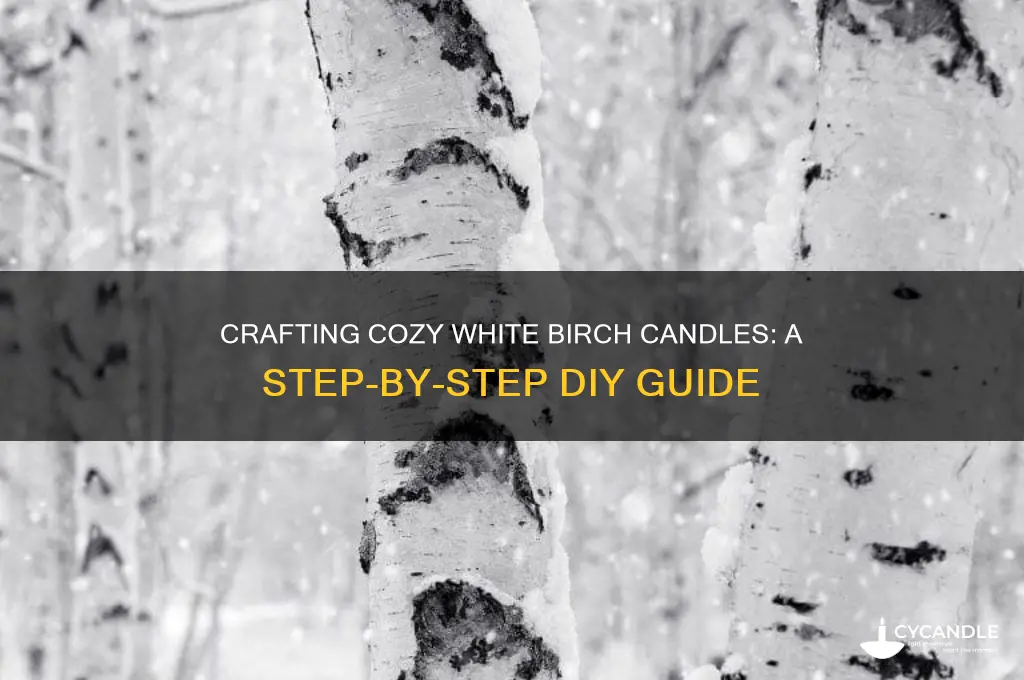 how to make white birch candles