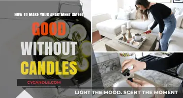 Freshen Your Apartment: Scent Hacks Beyond Candles for a Lovely Home
