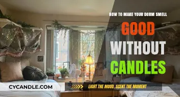 Freshen Up Your Dorm: Safe, Flame-Free Ways to Scent Your Space