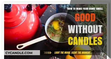 Freshen Your Home Naturally: Scent Solutions Beyond Candles