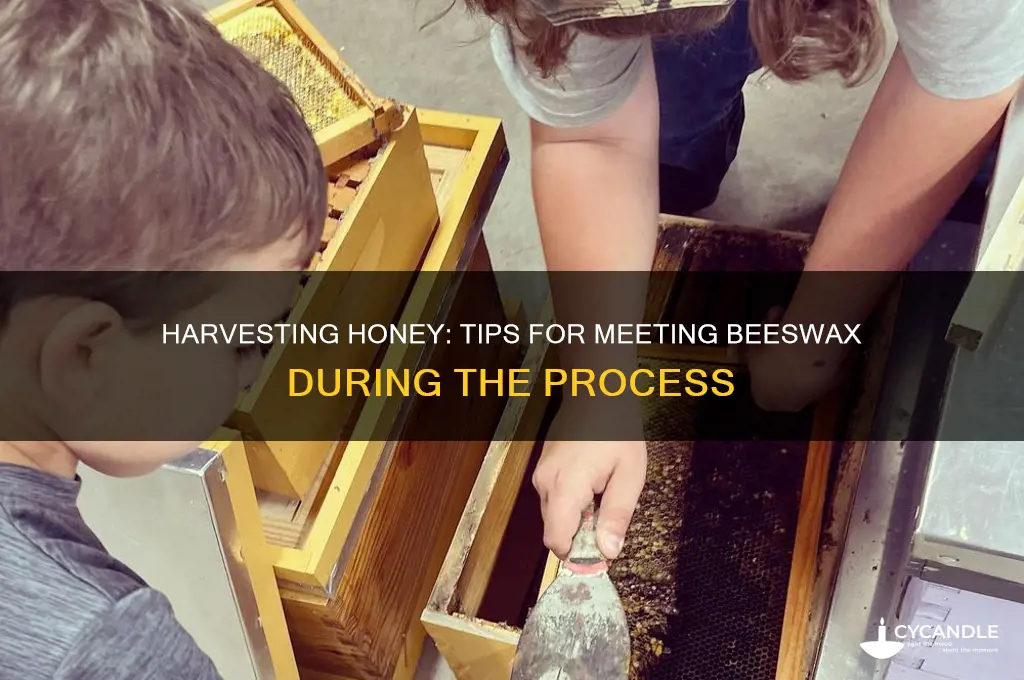 how to meetup beeswax when harvesting honey