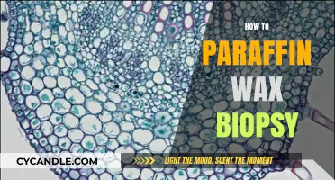Mastering Paraffin Wax Biopsy Techniques: A Comprehensive Step-by-Step Guide