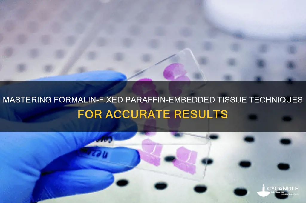 how to perform formalin fixed paraffin embedded tissue