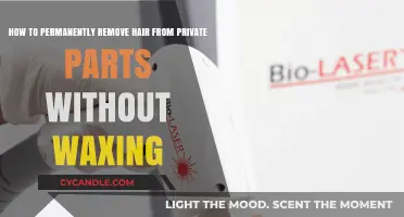 Pain-Free Private Hair Removal: Wax-Free Solutions for Permanent Smoothness