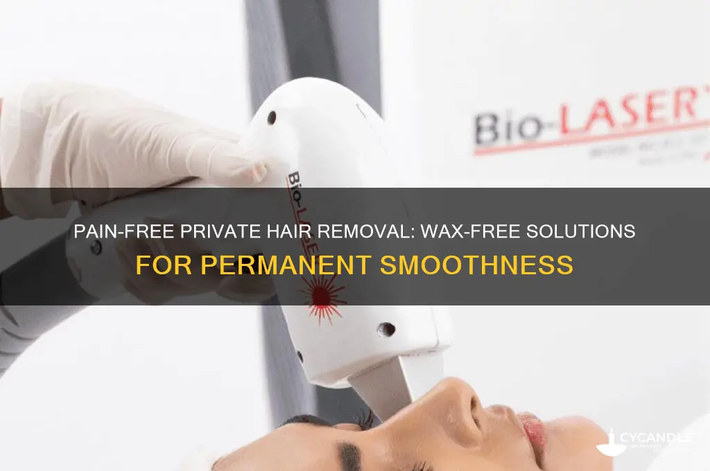 how to permanently remove hair from private parts without waxing