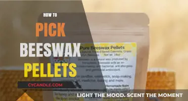 Choosing the Best Beeswax Pellets: A Comprehensive Guide for Beginners
