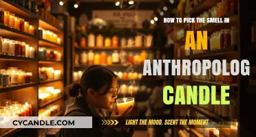 Choosing the Perfect Scent: Anthropologie Candle Edition
