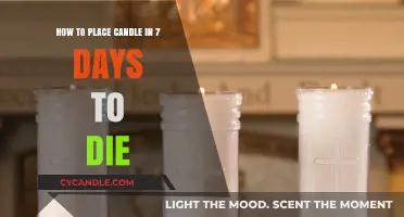 Candle-Placing Strategies in 7 Days to Die
