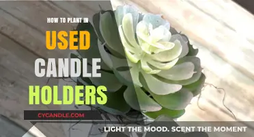 Creative Repurposing: Planting in Used Candle Holders for Eco-Friendly Decor