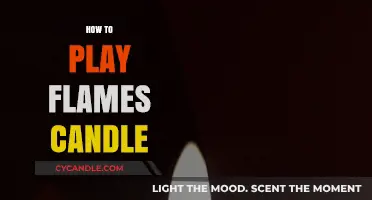Playing with Fire: The Art of Flame and Candle
