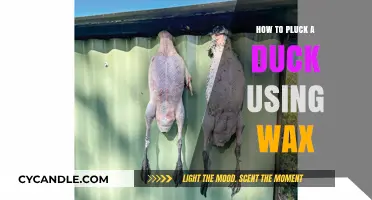 The Art of Wax Plucking: A Step-by-Step Guide for Ducks