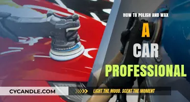 Mastering the Art of Car Detailing: Professional Polishing and Waxing Techniques
