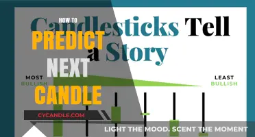 Predicting the Next Candle: Strategies for Success