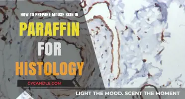 Mastering Mouse Skin Paraffin Preparation for Histological Analysis