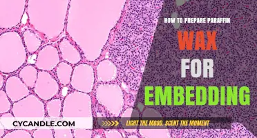 Mastering Paraffin Wax Preparation for Flawless Tissue Embedding Techniques