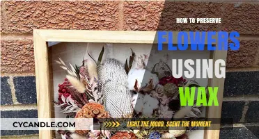 Eternal Blooms: The Art of Preserving Flowers with Wax