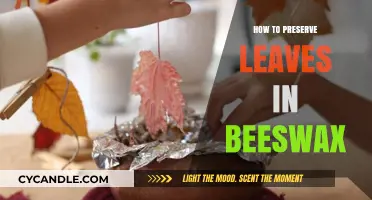 Preserving Autumn's Beauty: A Guide to Beeswax Leaf Conservation