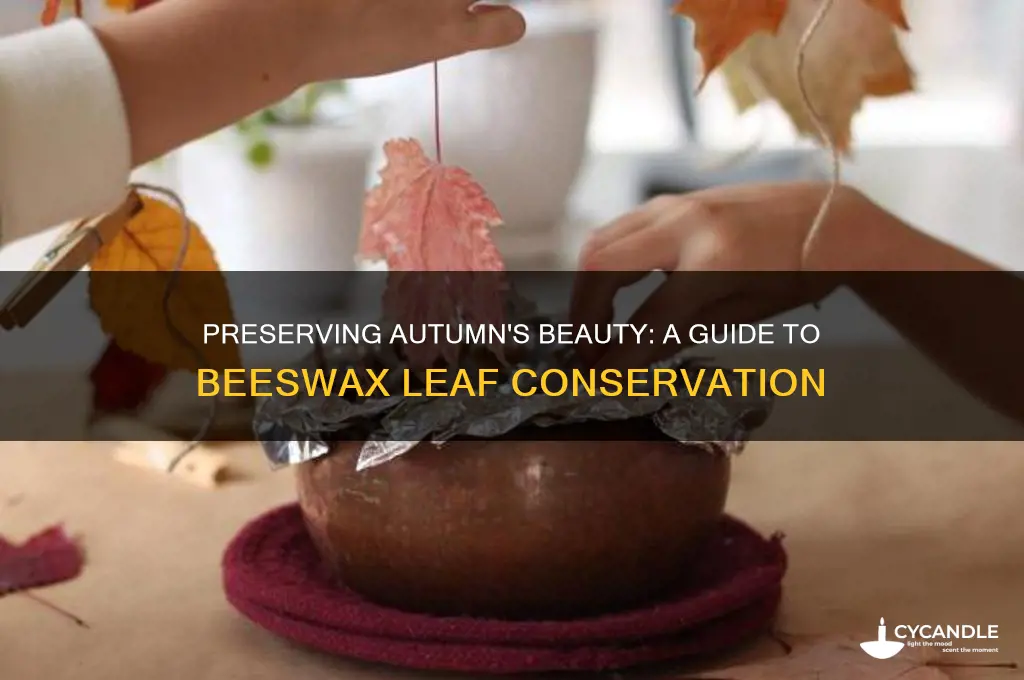 how to preserve leaves in beeswax