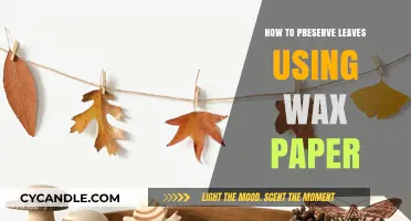 Nature's Artistry: Preserving Leaves with Wax Paper
