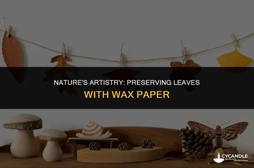 how to preserve leaves using wax paper