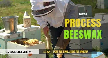 Mastering Beeswax Processing: A Step-by-Step Guide for Beginners