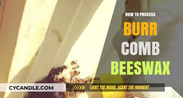 Mastering Burr Comb Beeswax Processing: A Step-by-Step Guide