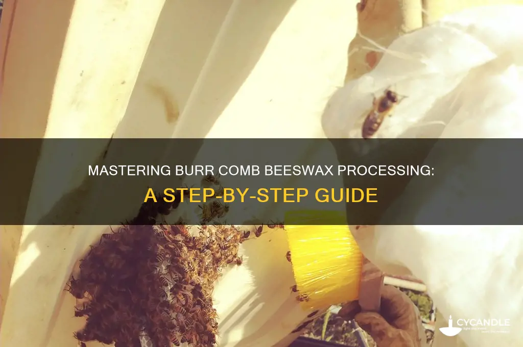 how to process burr comb beeswax