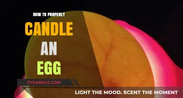 Candling Eggs: A Step-by-Step Guide to Doing it Right