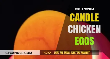 Candling Chicken Eggs: A Step-by-Step Guide to Success