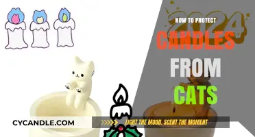 Protecting Candles: Keeping Cats at Bay