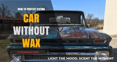 Preserving Your Patina: Wax-Free Methods to Protect Your Car's Unique Finish