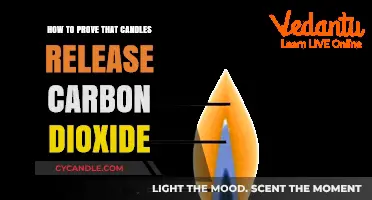 Candle CO2: Proving Candles Emit Carbon Dioxide