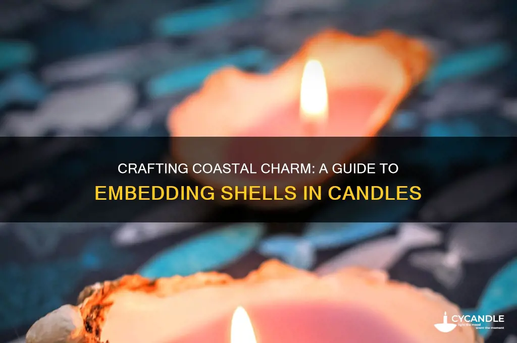 how to put shells in candles