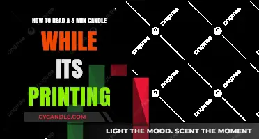 Understanding Real-Time 5-Minute Candlestick Charts