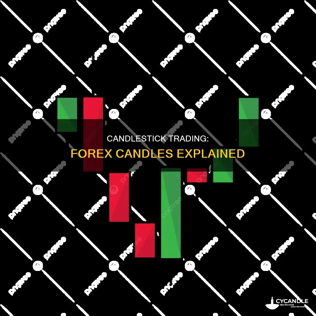 how to read a candle forex