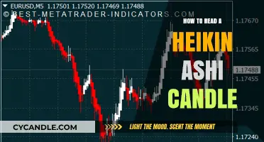 Understanding Heikin Ashi: Reading the Unique Candlestick Chart