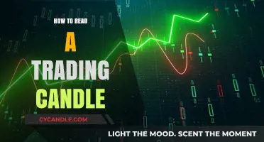 Understanding Trading Candles: A Beginner's Guide