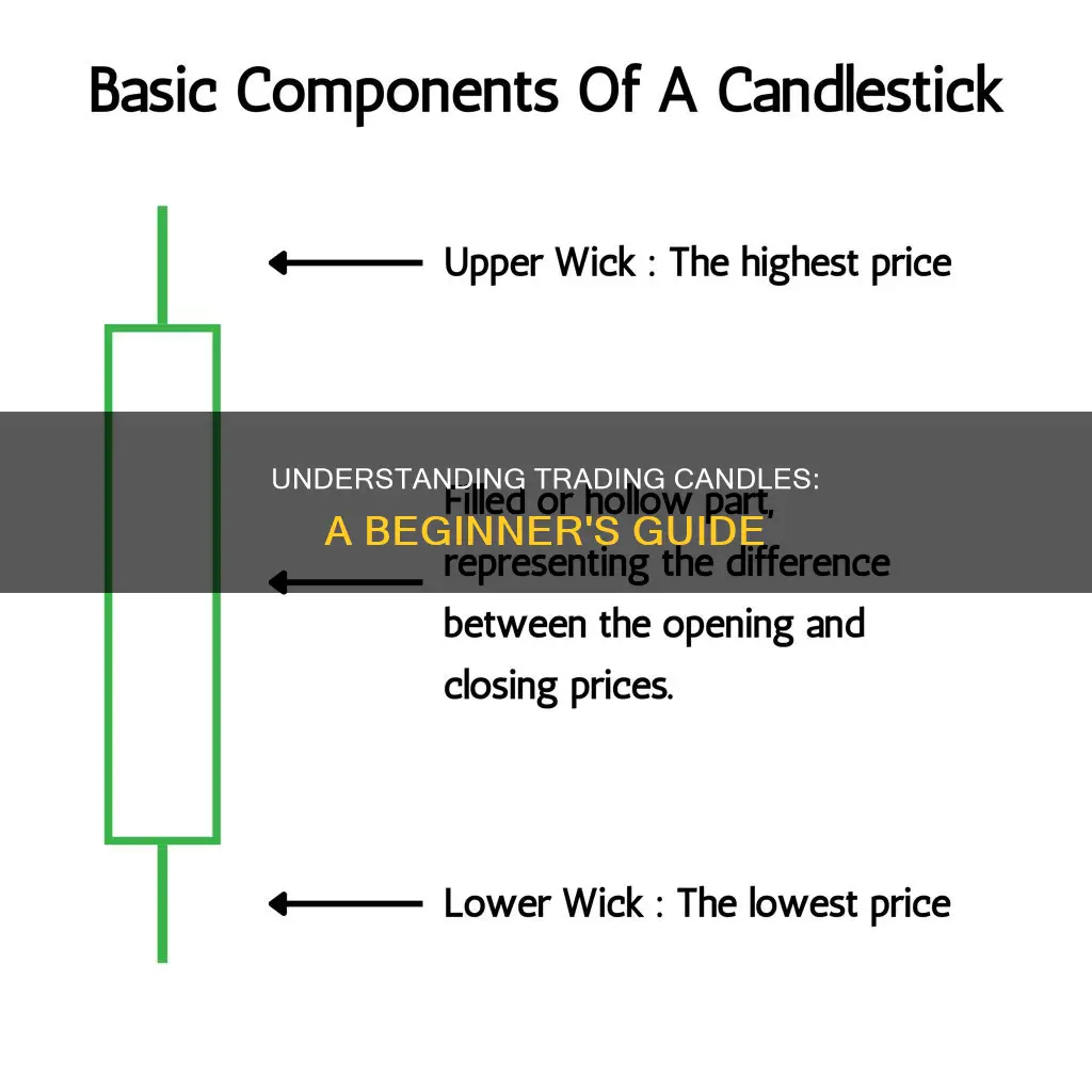 how to read a trading candle
