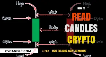Candle Charting Basics: Understanding Crypto Price Action