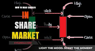 Candlestick Trading: Reading the Share Market