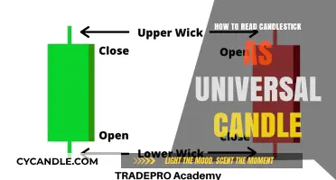 Candlestick Trading: Universal Patterns for Quick Profits