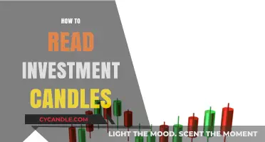 Candlestick Trading: A Beginner's Guide to Reading Investment Candles