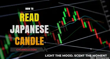 Japanese Candlestick Trading: A Beginner's Guide