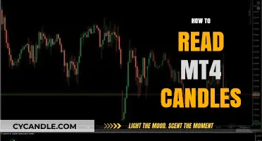 Understanding MT4 Candles: A Beginner's Guide