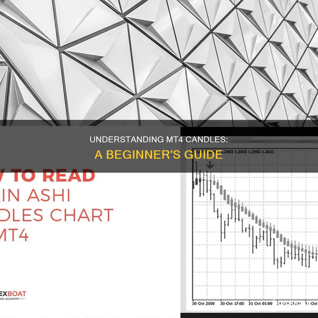 how to read mt4 candles