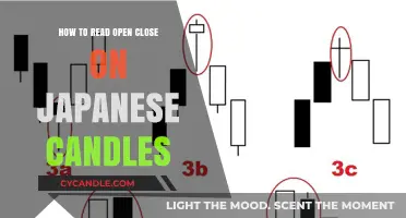 Understanding Japanese Candlesticks: Open and Close Basics
