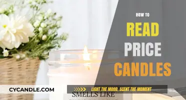 Candlestick Trading: Reading Price Charts Like a Pro