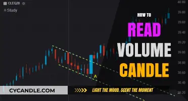 Understanding Volume Candles: A Beginner's Guide