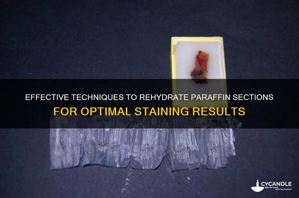 how to rehydrate paraffin sections